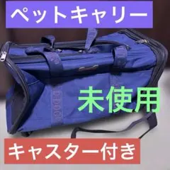 Item thumbnail for item 6e2b0b83-3039-4b26-aac3-79e657e48a1d