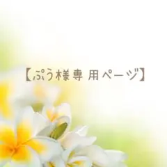 【ぷぅ様専用ページ】 フェルトおままごと