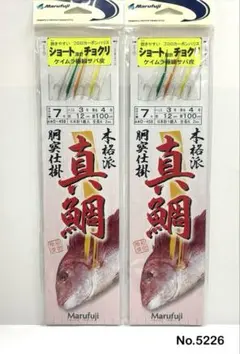 Item thumbnail for item 6383f3e0-6d64-4ea8-a4df-915cf4193b97