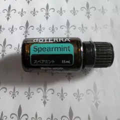 doTERRA スペアミントのサムネイル