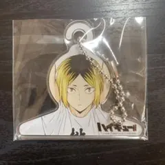 2025年最新】ハイキュー ハンガー 研磨の人気アイテム - メルカリ