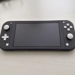 NAA様専用Nintendo Switch Lite 本体 グレー Proコン - メルカリ