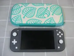 【完動美品】Nintendo Switch Lite グレー 本体・ケースのみ