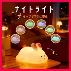 Item thumbnail for item cebfef3a-0d8c-4131-80e3-0b3a571708db