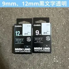 Item thumbnail for item 2b85abf4-4d98-4384-af94-d4a48965812a