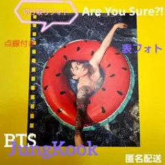 BTS ジョングク Are You Sure?! イゲマジャ フォト シート