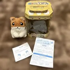 2026年最新】なかよししげっちの人気アイテム - メルカリ