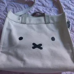 Item thumbnail for item cb2bc465-9dbf-4a85-befa-2e6bff67f8f4