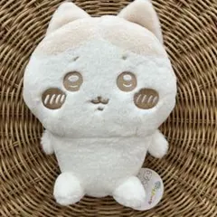 ちいかわ 大　ぬいぱれっと～ミルクいろ～ ぬいぐるみ ハチワレ
