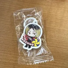 ハイキュー めじるしチャーム 孤爪研磨