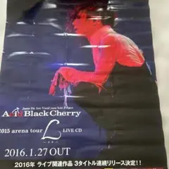 2026年最新】アシッドブラックチェリーポスターの人気アイテム - メルカリ