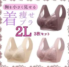 シームレス レースブラ ノンワイヤー 快適 フィット 2L XXL セット