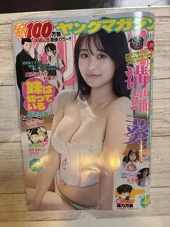 【切り抜きなし】ヤングマガジン46