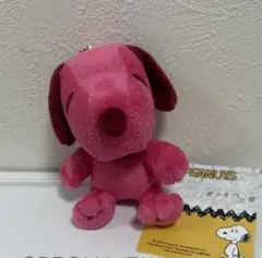 新品タグ付き　スヌーピー　ピーナッツ　キーホルダー