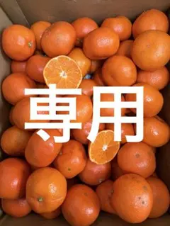 バオバブ愛様専用！同梱分