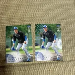 Item thumbnail for item ee67439a-e787-4320-97c9-26a43623a9e1