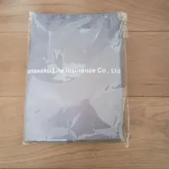 Item thumbnail for item 5d64ba51-a318-49f7-bb71-039990a1c3e2