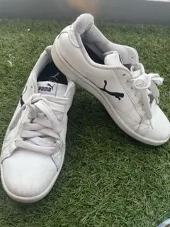 PUMA スニーカー ホワイト レディース