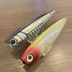 Item thumbnail for item 002ba89b-836f-4738-9236-97ae8892b70a