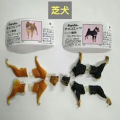 2026年最新】チョコq日本の動物の人気アイテム - メルカリ