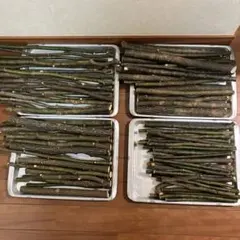 Item thumbnail for item 4e56ba24-76e3-4935-932c-bd19729ec0f7