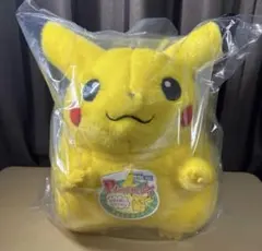 ポケモン おかえり！ピカチュウ