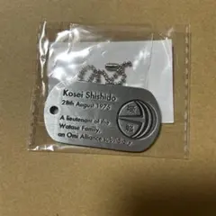 激レア】ワンピース 海軍 ドッグタグ コレクション キーホルダー 少尉