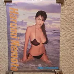 根本はるみ 2005年 カレンダー 水着 ビキニ 未使用 カット無し