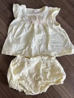 プティマイン　セットアップ