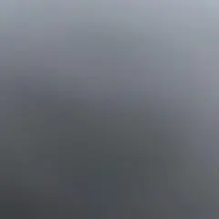 지정되었습니다