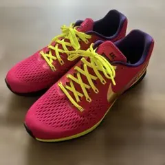 NIKE ZOOM PEGASUS 34 30cm オーダーカラー
