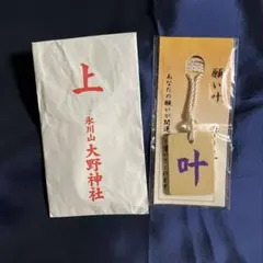 Item thumbnail for item 1fc99028-a846-4e35-855f-98ca9f990093