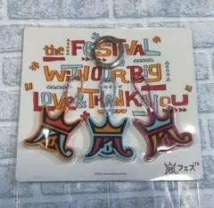 嵐フェス アラフェス 2013年 キーカバー ケース セット