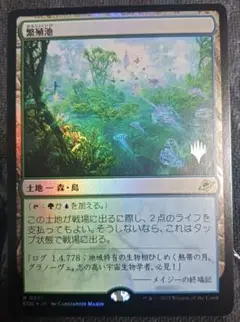 2025年最新】繁殖池 foilの人気アイテム - メルカリ