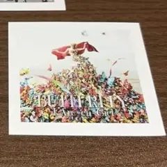 2026年最新】butterfly l'arc en cielの人気アイテム - メルカリ