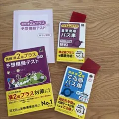 未使用＊早稲田アカデミー NN早実グラス 4教科 正月特訓テキスト