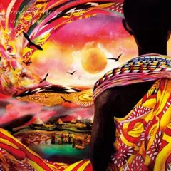 希少レア EU盤 uyama hiroto Freedom Of The Sun 希少レア EU盤 uyama hiroto Freedom Of The Sun - メルカリ