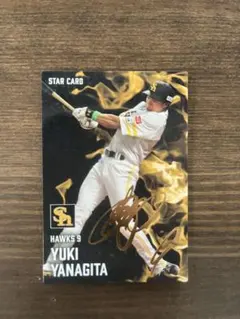 プロ野球チップス 2025 カード 柳田悠岐 サイン