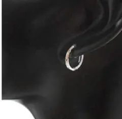 Item thumbnail for item a29dbc18-b8cc-4927-80bb-65ea6bb4b55a