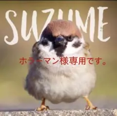 2026年最新】ホーネット250シートの人気アイテム - メルカリ