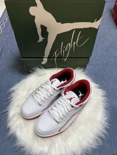 JORDAN FLIGHT COURTジョーダン・フライトコート 27㎝