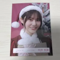 櫻坂46 生写真 2025年サンタ衣装 向井純葉 ヨリ