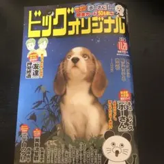 【最新号・新品】ビッグコミックオリジナル 11月20日号