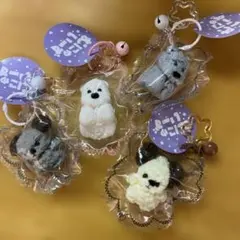 むにゅいーず