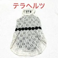 【即日配送】テラヘルツ入り 犬服　レース S T