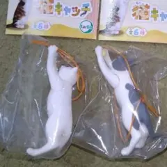 猫キャッチ　白ネコ　グレー白ネコ