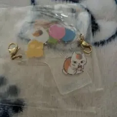 ニャンコ先生
