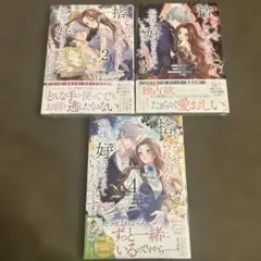 どうせ捨てるのなら、最後に好きにさせていただきます 2~4巻