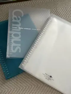 Item thumbnail for item f5ad2228-7c97-4da3-8de2-e12856cc25b1