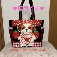コヤンイサムチョン　超レア　Big水玉アンコちゃんサイドポケットトート